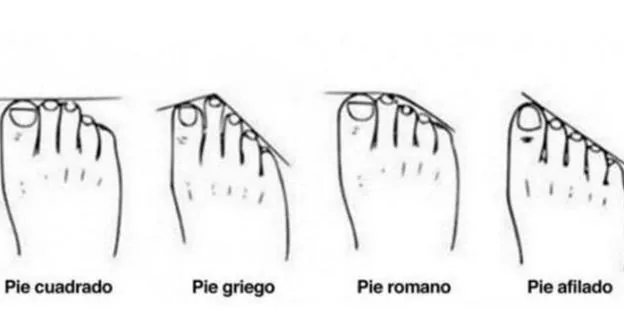 Las formas de los dedos de los pies dicen mucho de tu personalidad